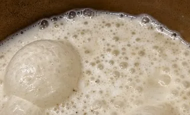 Bubbling starter during natural fermentation